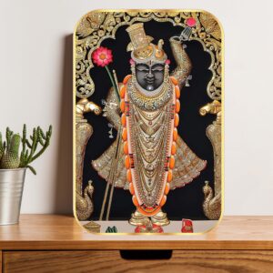 British Terminal Lord Shrinathji Nathdwara hindu religious Glossy Golden photo Frame