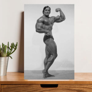 British Terminal Arnold Schwarzenegger Waterproof Vinyl Sticker Poster