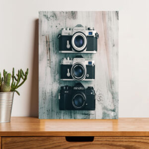 British Terminal "Retro Lens" Vintage Camera Wall PosterPrint