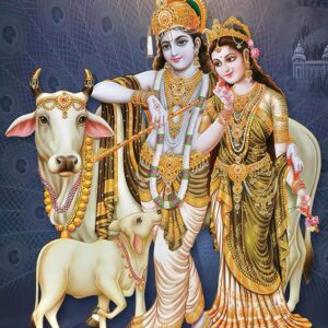 British Terminal hindu religious Kamdhenu Cow with calf and lord Radhe krishna vinyl sticker poster