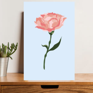 Blossom Aesthetic Flower Picture